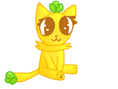 Pineapple cat