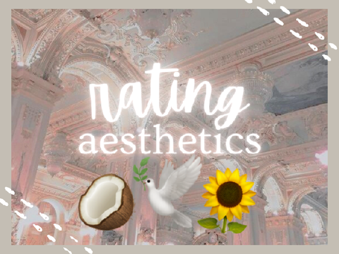 rating aesthetics ˎˊ-