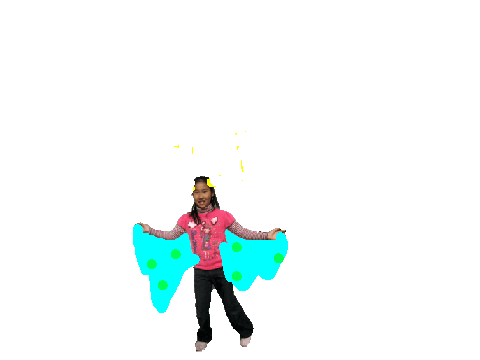 Flying Anna