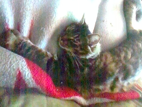 stretch squish and heeeyawhhh