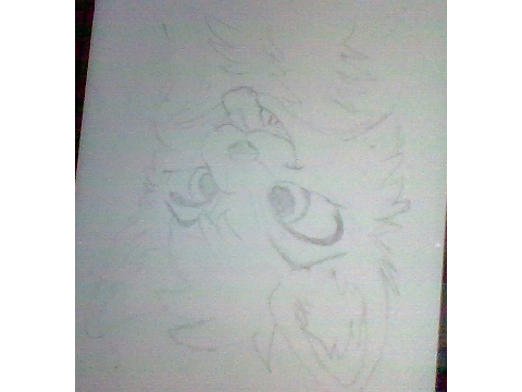 aaaand the third project of the daaayyyy