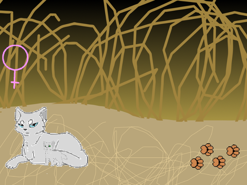 Warrior cat game