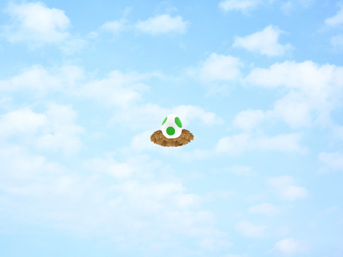 Yoshi Egg - Super Mario Galaxy 2D