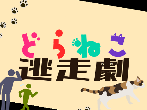 【week 1】どらネコ逃走劇
