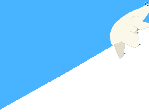 polar bear