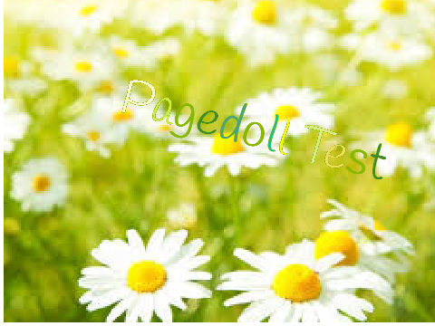 Pagedoll test-