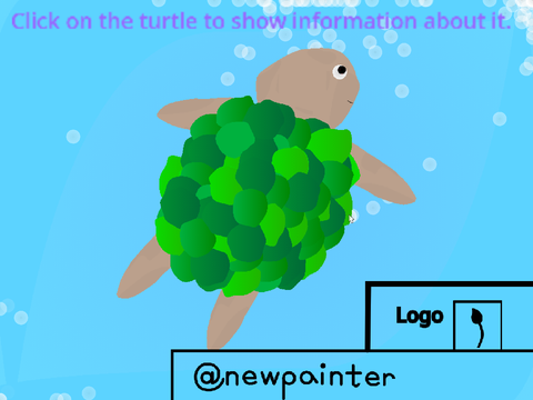 Turtle Information & Art