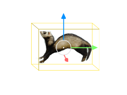 adjust ferret