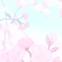Project thumbnail