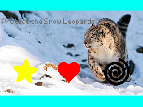 Rescue the Snow Leopards!