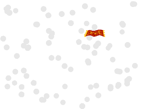flying magic carpet