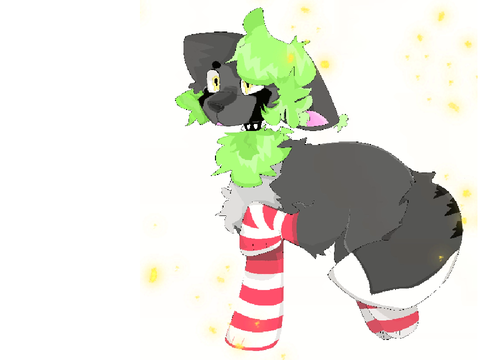 socks yes