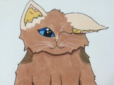 Heatherstem! 4 @Echuston