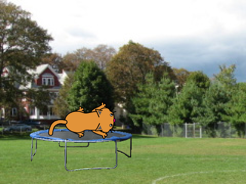 My pet