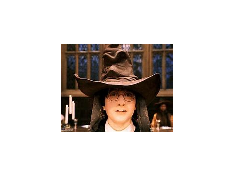 Harry Potter Sorting Hat Quiz remix (2)