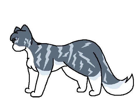 random designs