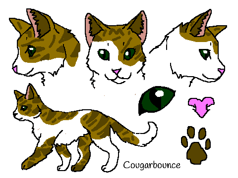 Cougarbounce ref - RTiC RP