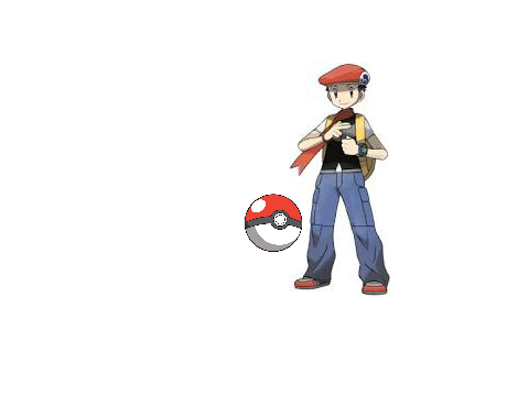 Pokemon Capture