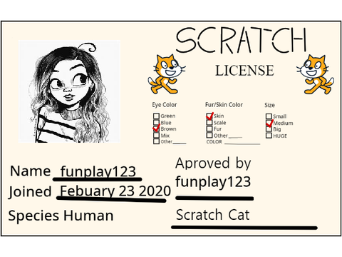My Scratch Licence