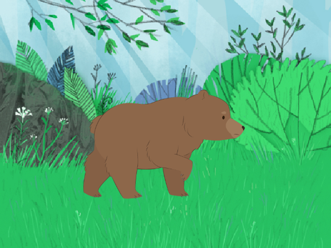 Walking Bear