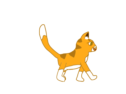If I made scratch cat!