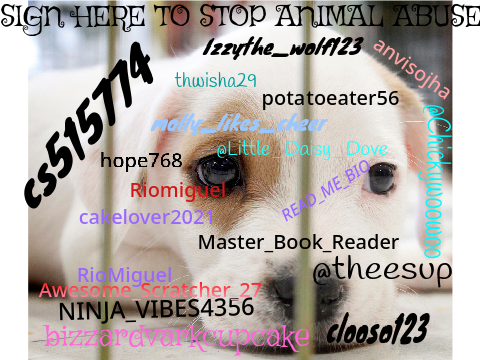 SIGN HERE TO STOP ANIMAL ABUSE  remix remix remix remix remix
