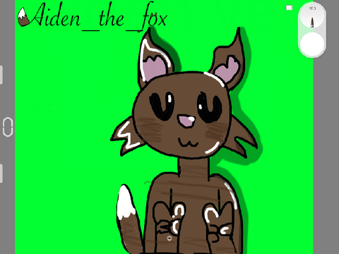 Pfp for Aiden_the_fox