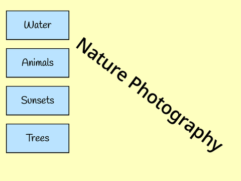 Nature Photos