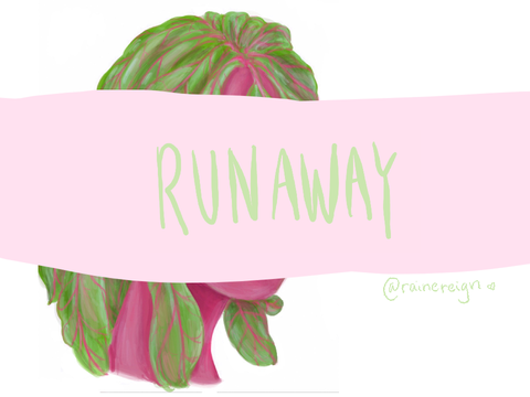 runaway beetra