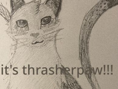 in which drawing cats is still impossible