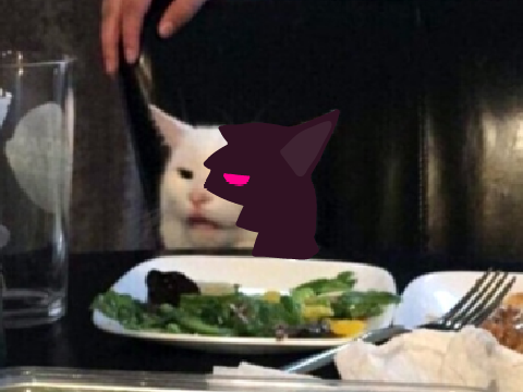 salad cat