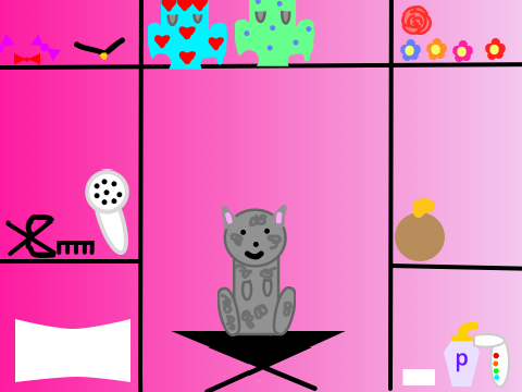 Cat salon
