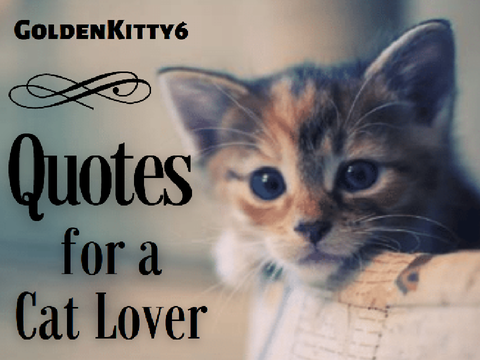 Quotes for a Cat Lover