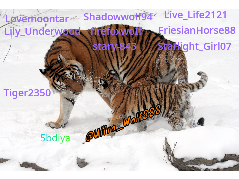 Sign if you like TIGERS 