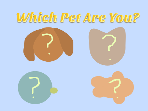 Which Pet Are You? remix