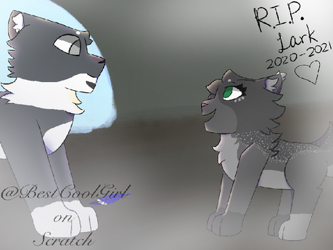RIP Larkspring