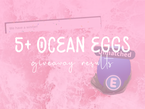 5+ ocean eggs giveaway results!