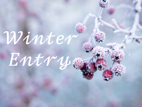 My Entry For Winter