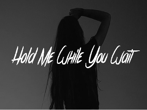 Lewis Capaldi - Hold Me While You Wait ? remix