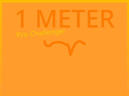 1 Meter: Pro Challenge!