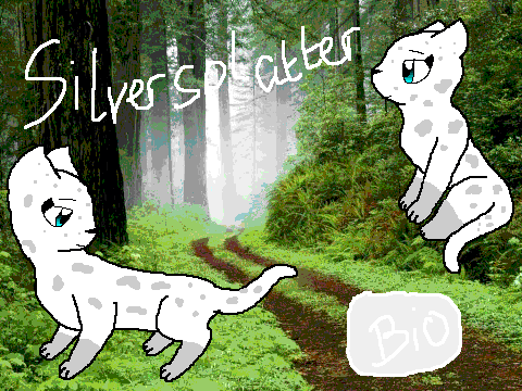 Silversplatter
