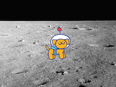 0.5 Welcome to Scratch