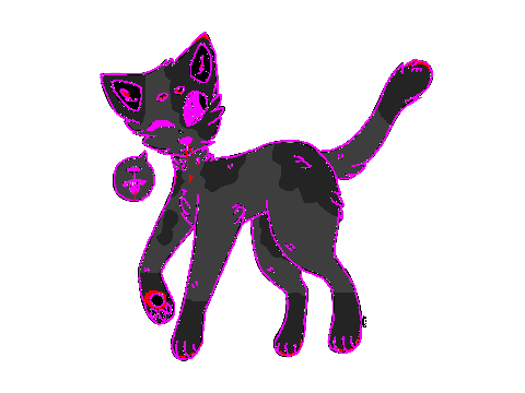 Xero the cat :D