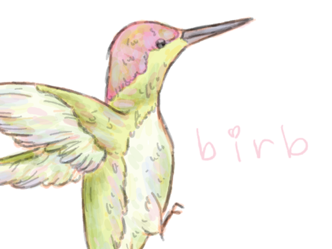 hummingbirb woo