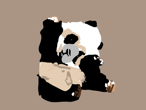 panda drawing