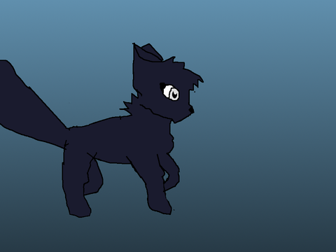 Animated Cat