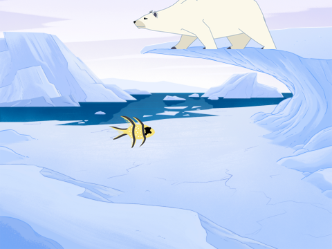 Feed Polar Bear remix
