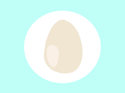 Egg