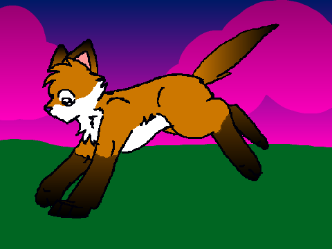 Run Foxy Run