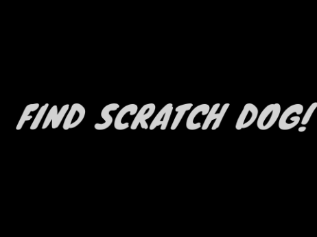 Find Scratch DOG!